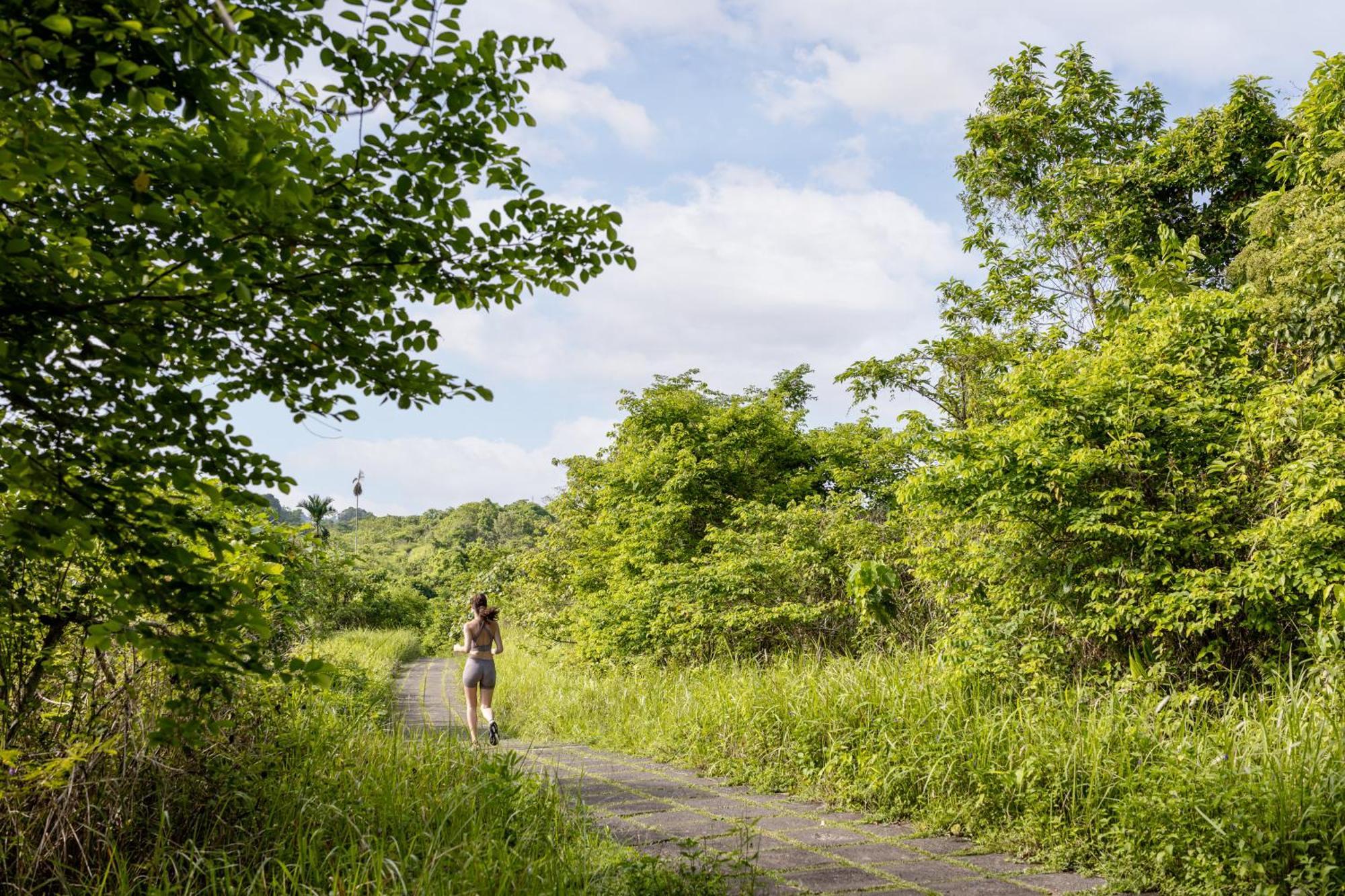 The Hava Ubud A Pramana Experience エクステリア 写真